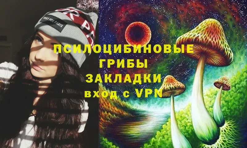 Псилоцибиновые грибы Magic Shrooms  Кяхта 